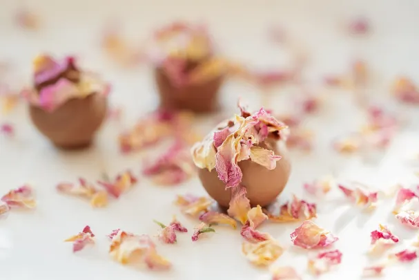 Otto Kasino Android/iOS Sovellus